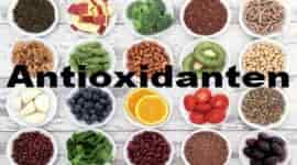 Fruit en groenten zijn goede bronnen van antioxidanten